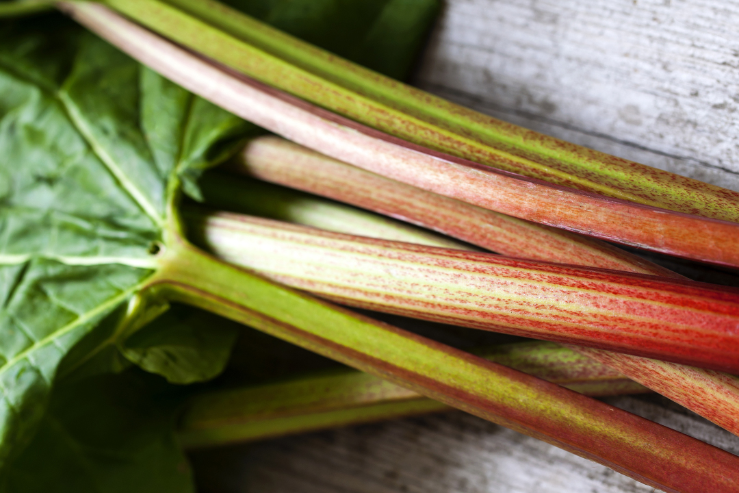 Rhubarb